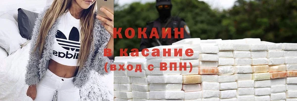 стафф Заводоуковск