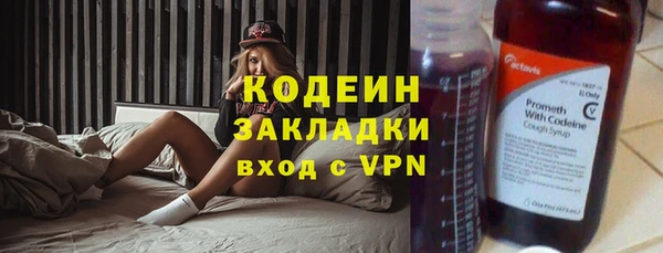 стафф Заводоуковск