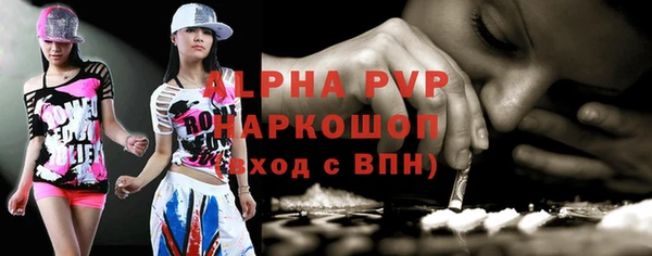 стафф Заводоуковск