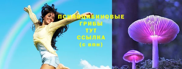 стафф Заводоуковск