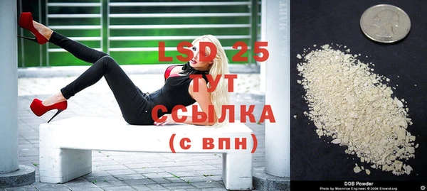 стафф Заводоуковск