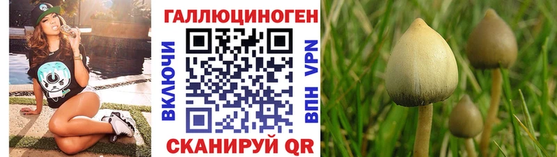 Купить Кукмор Галлюциногенные грибы GOLDEN TEACHER